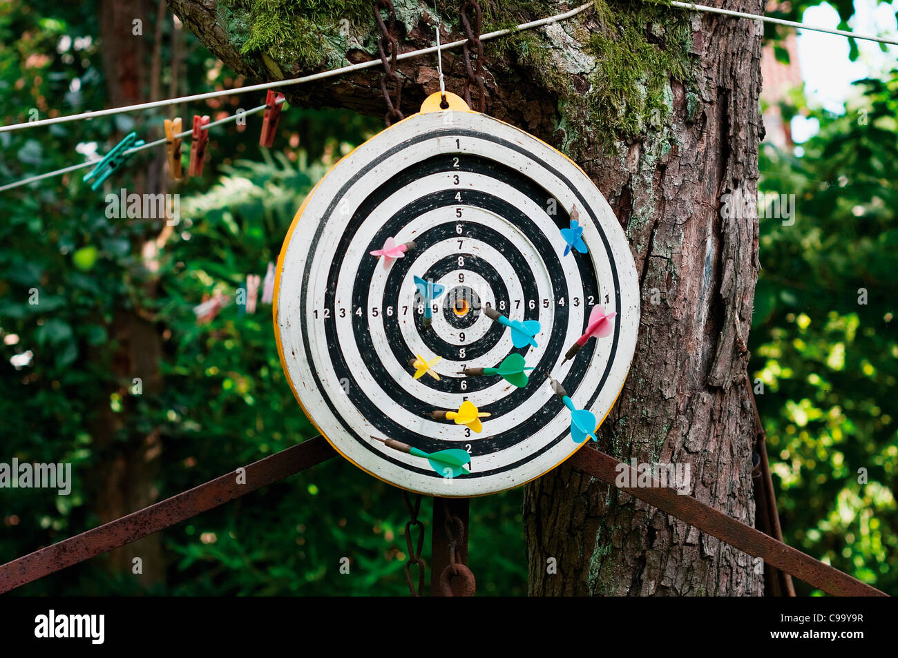 Assia, Francoforte, Dartboard con freccette sul tronco di albero Foto Stock