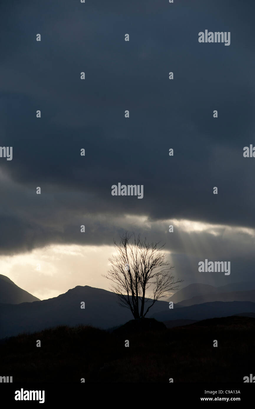 Rannoch Moor con Lone Tree al tramonto guardando ad ovest di Perth and Kinross, Scozia. Foto Stock