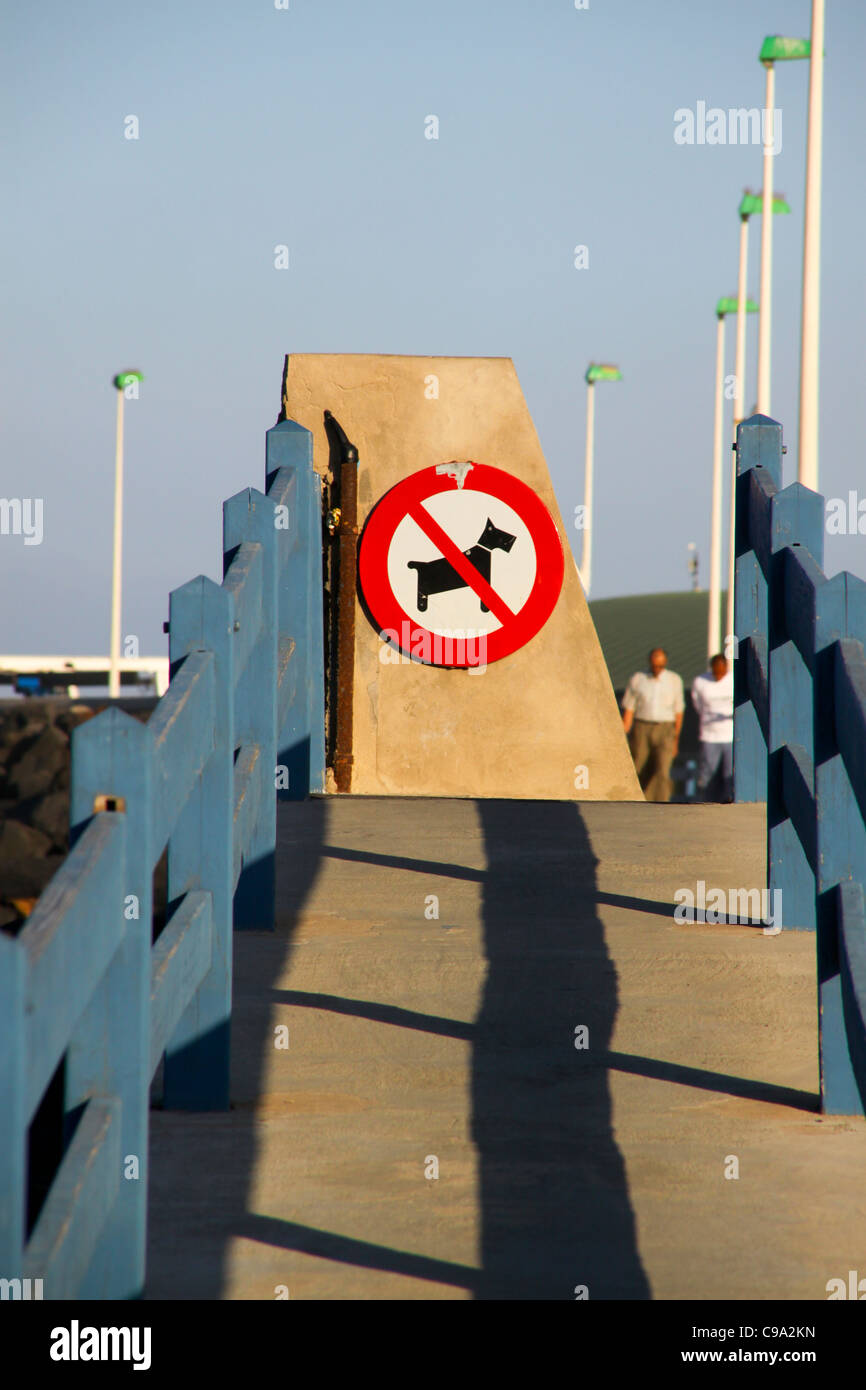 I cani non firmare alla sommità della rampa Foto Stock