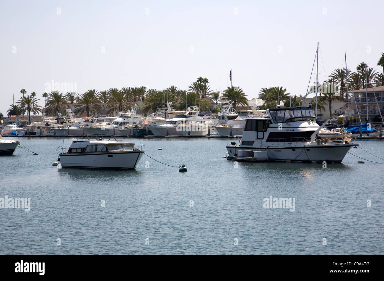 Barche nel porto di Lido Isola - Balboa island - Newport Beach - CA Foto Stock