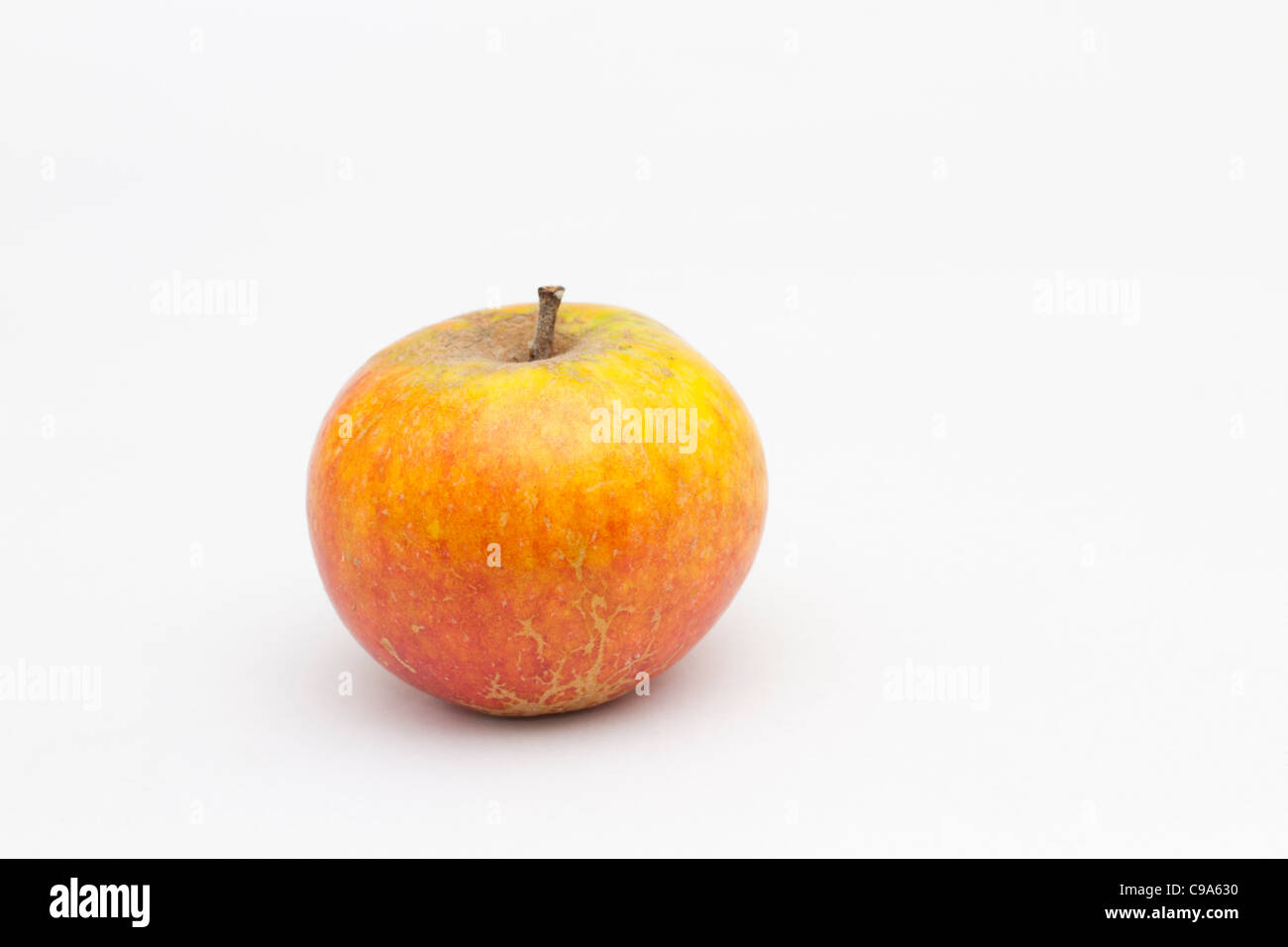 Cox's Orange Pippin apple in inglese da frutteti Foto Stock