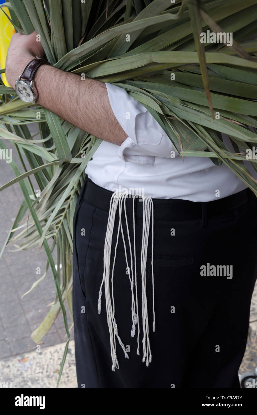Close up di un ebreo ortodosso che porta foglie di palma per il suo stand. Sukkot festival. Gerusalemme. Israele Foto Stock
