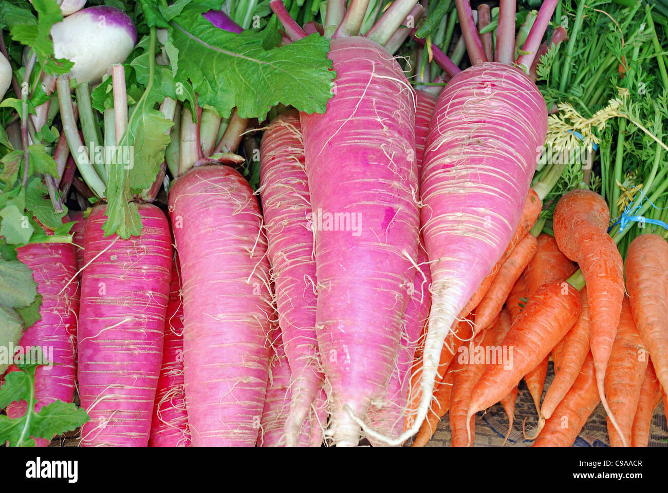 La carota, Knol Khol verdure per la vendita a lato strada mercato, Leh, dello Stato del Jammu e Kashmir, India. Foto Stock