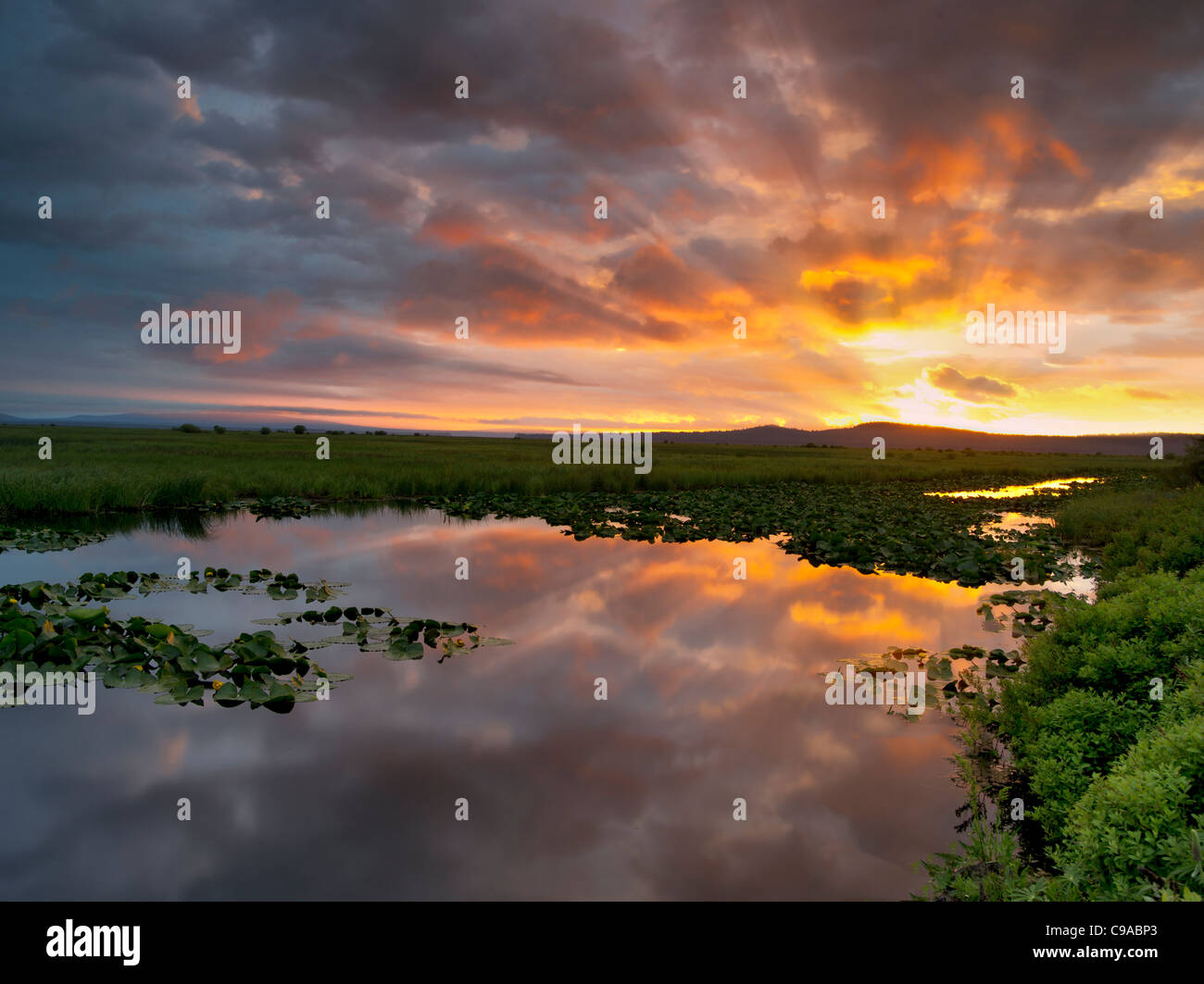 Sunrise a Klamath Marsh National Wildlife Refuge, Oregon Foto Stock