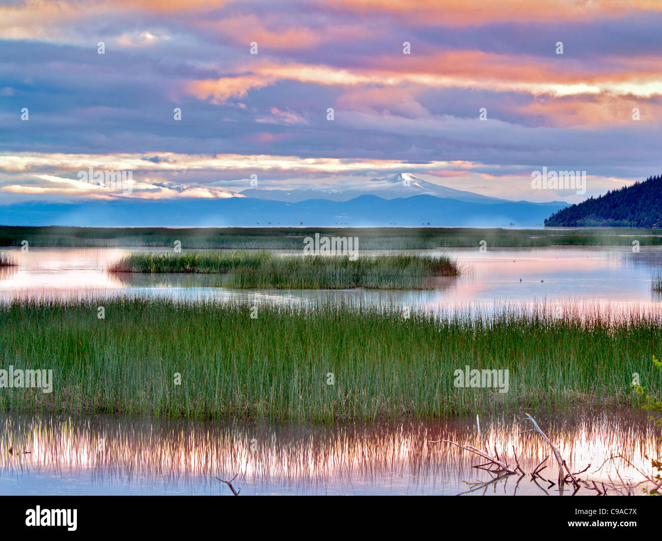 Shoalwater Bay sul lago Klamath superiore a sunrise. Oregon Foto Stock