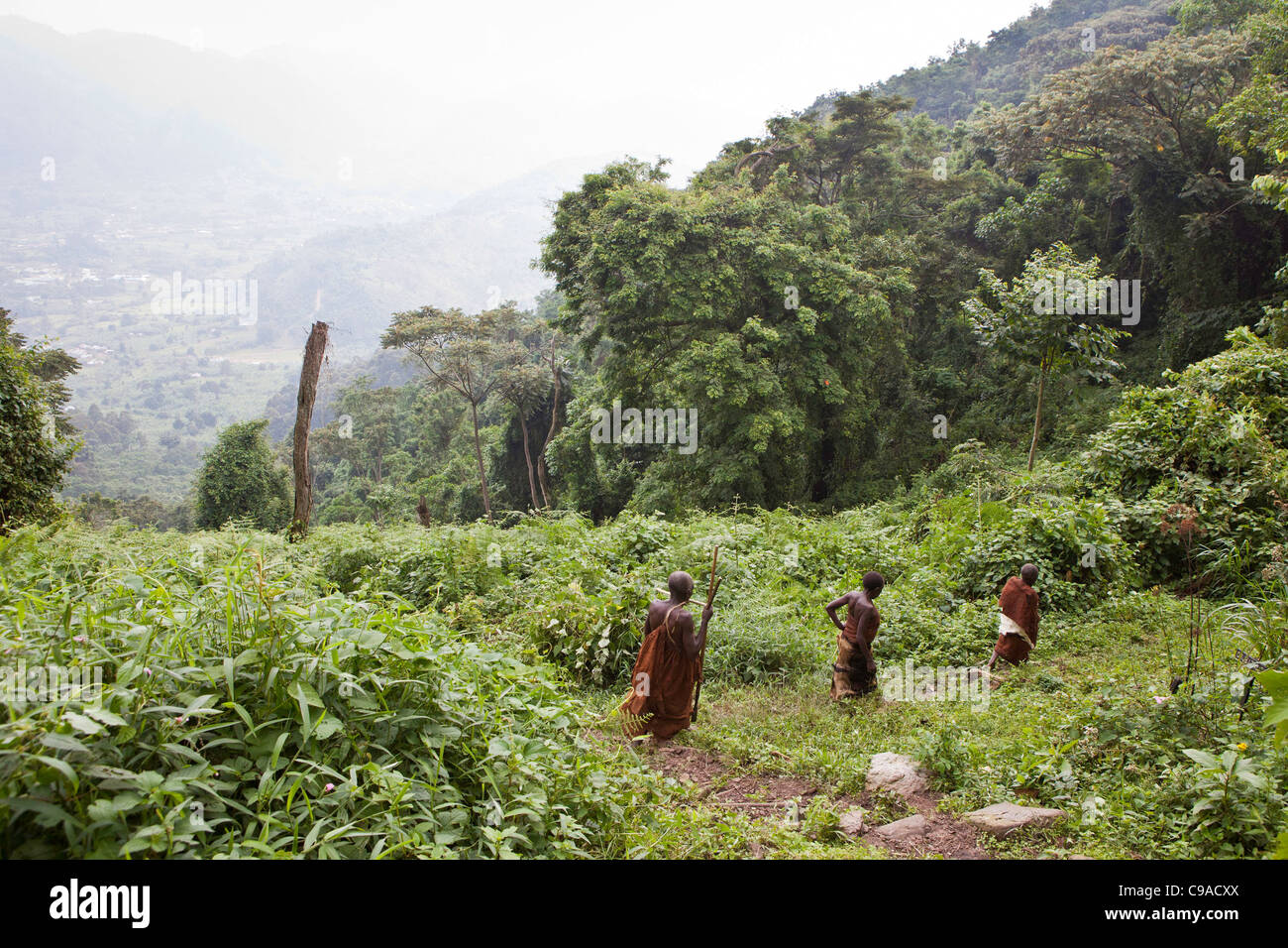 Pigmei Batwa dalla Foresta impenetrabile di Bwindi in Uganda passeggiate uno dei ben calpestata sentieri nella foresta. Foto Stock