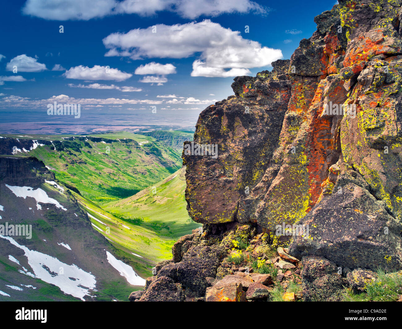 Il Lichen coperta parete e l:"piccola Blitzen Gorge. Steens Mountain Wilderness, Oregon Foto Stock