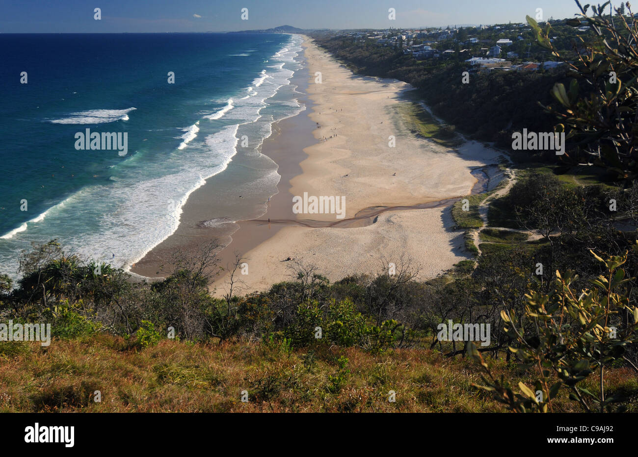 Vista sulla spiaggia di sole, Sunshine Coast, Queensland, Australia Foto Stock