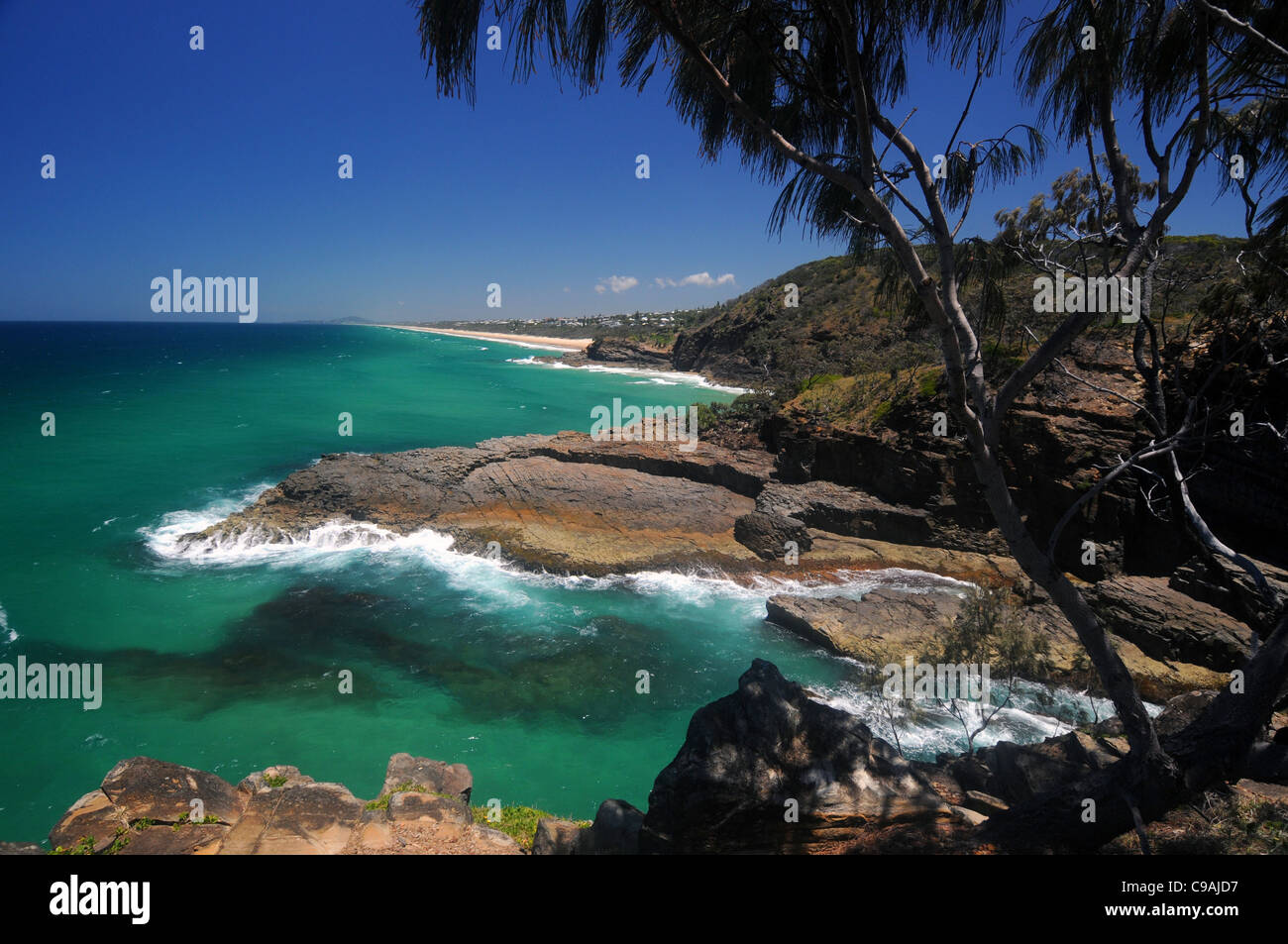 Rocky paesaggi costieri di Noosa National Park, guardando a sud verso Sunshine Beach, Sunshine Coast, Queensland, Australia Foto Stock