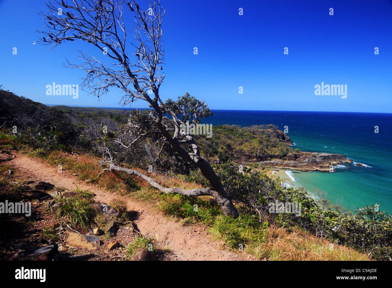 Via Litoranea attraverso Noosa National Park, Sunshine Coast, Queensland, Australia Foto Stock