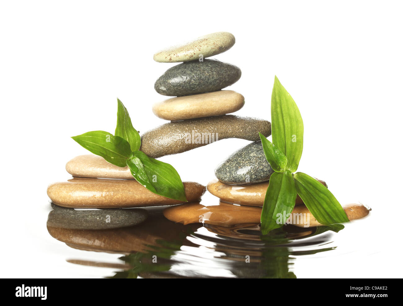 Le pietre in acqua con foglie Foto Stock