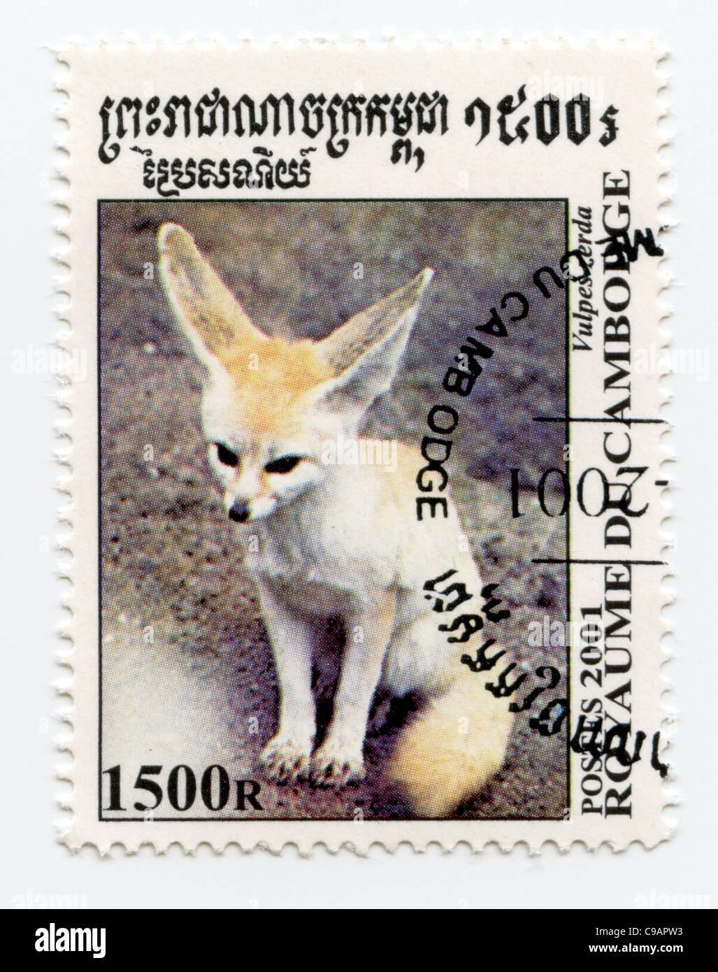 Cambogia francobollo - Il fennec fox - Vulpes zerda Foto Stock