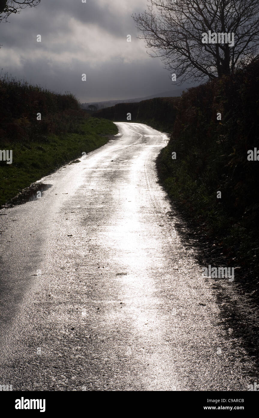 Asfalto umido Dartmoor road, retroilluminazione, retroilluminato, colore, paese, campagna, scuro, Diagonal, direzione, dividendo, vuota Foto Stock