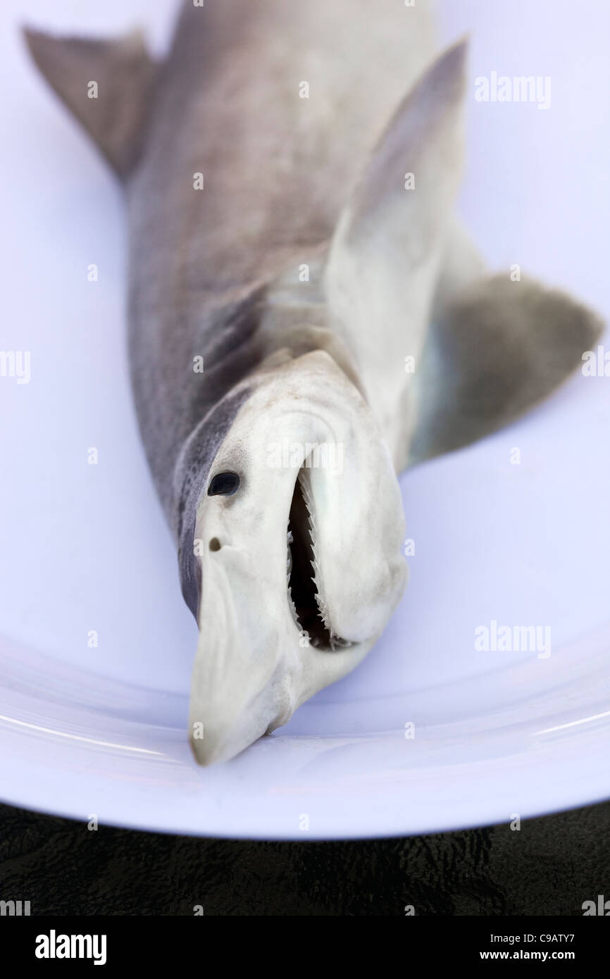 Raw Baby Shark - una prelibatezza asiatica - un esempio di cibo strano o strano mangiato dalle persone di tutto il mondo Foto Stock