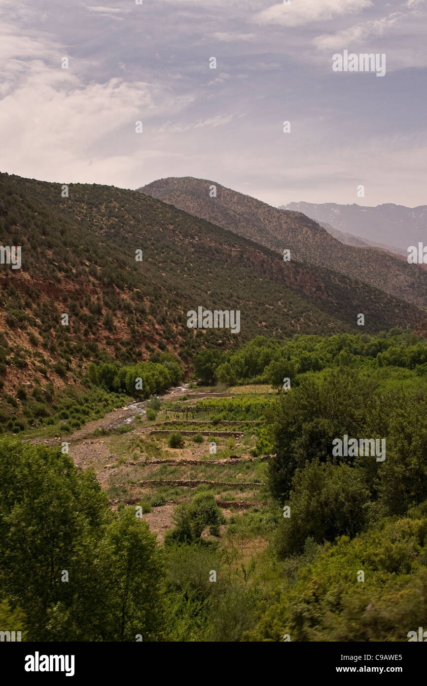Una vista di Berber terreno agricolo nei pressi di un fiume in Alto Atlante Marrakech Marocco Africa del Nord Foto Stock