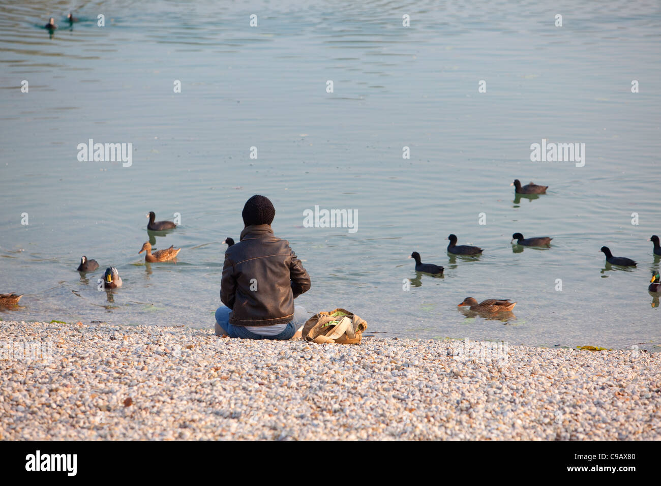 Una ragazza sta alimentando le anatre vicino al lago. Foto Stock