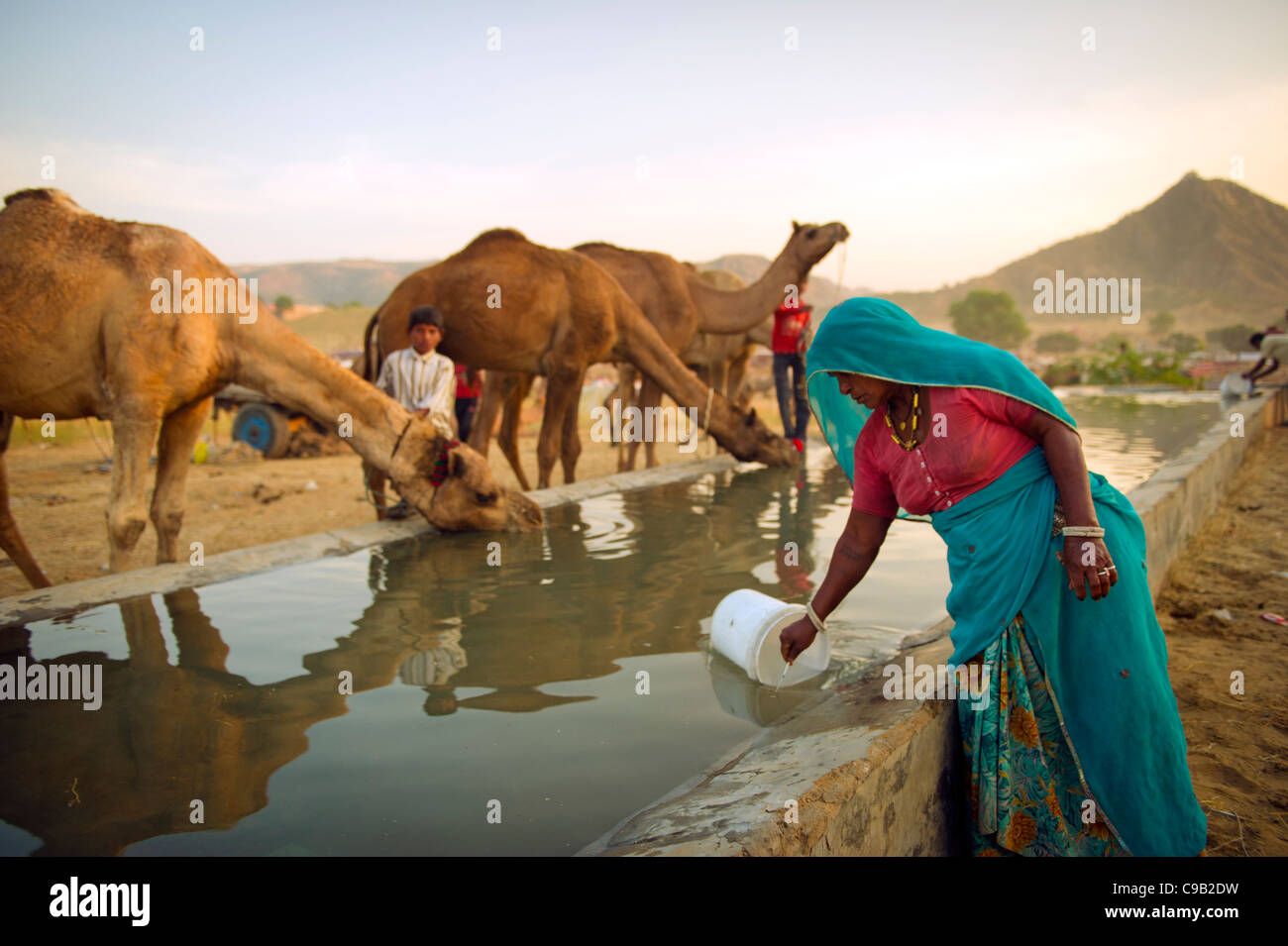 I commercianti del cammello raccogliere acqua per il loro bestiame al più grande del mondo annuale fiera del bestiame nel deserto città di Pushkar, in Foto Stock