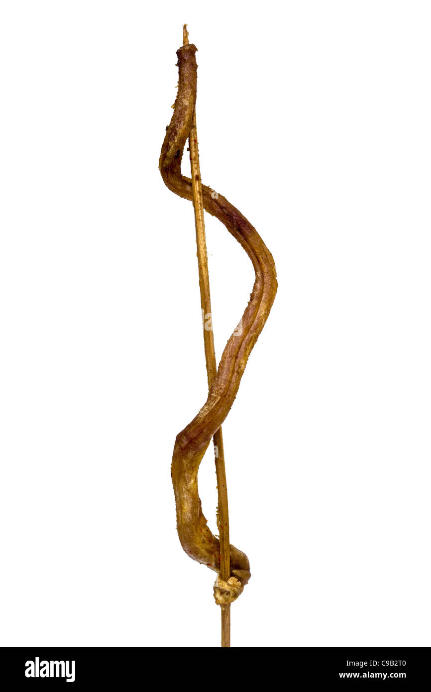 Serpente cotto in vendita al mercato notturno di Wangfujing a Pechino - un esempio dello strano o strano cibo mangiato dalle persone di tutto il mondo Foto Stock