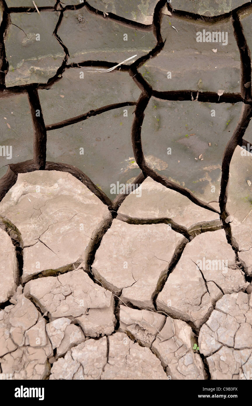 Una dettagliata closeup secca di suolo incrinato. Foto Stock