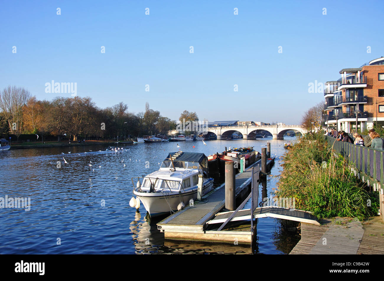 Sulla riva del fiume Tamigi, Kingston upon Thames, Royal Borough di Kingston upon Thames, Greater London, England, Regno Unito Foto Stock