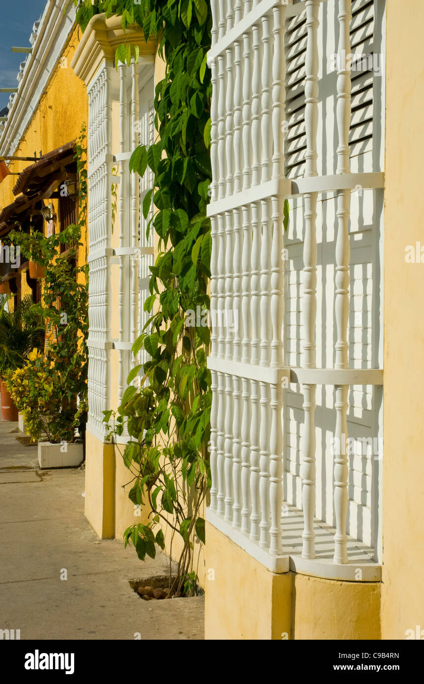 Windows coloniale Foto Stock