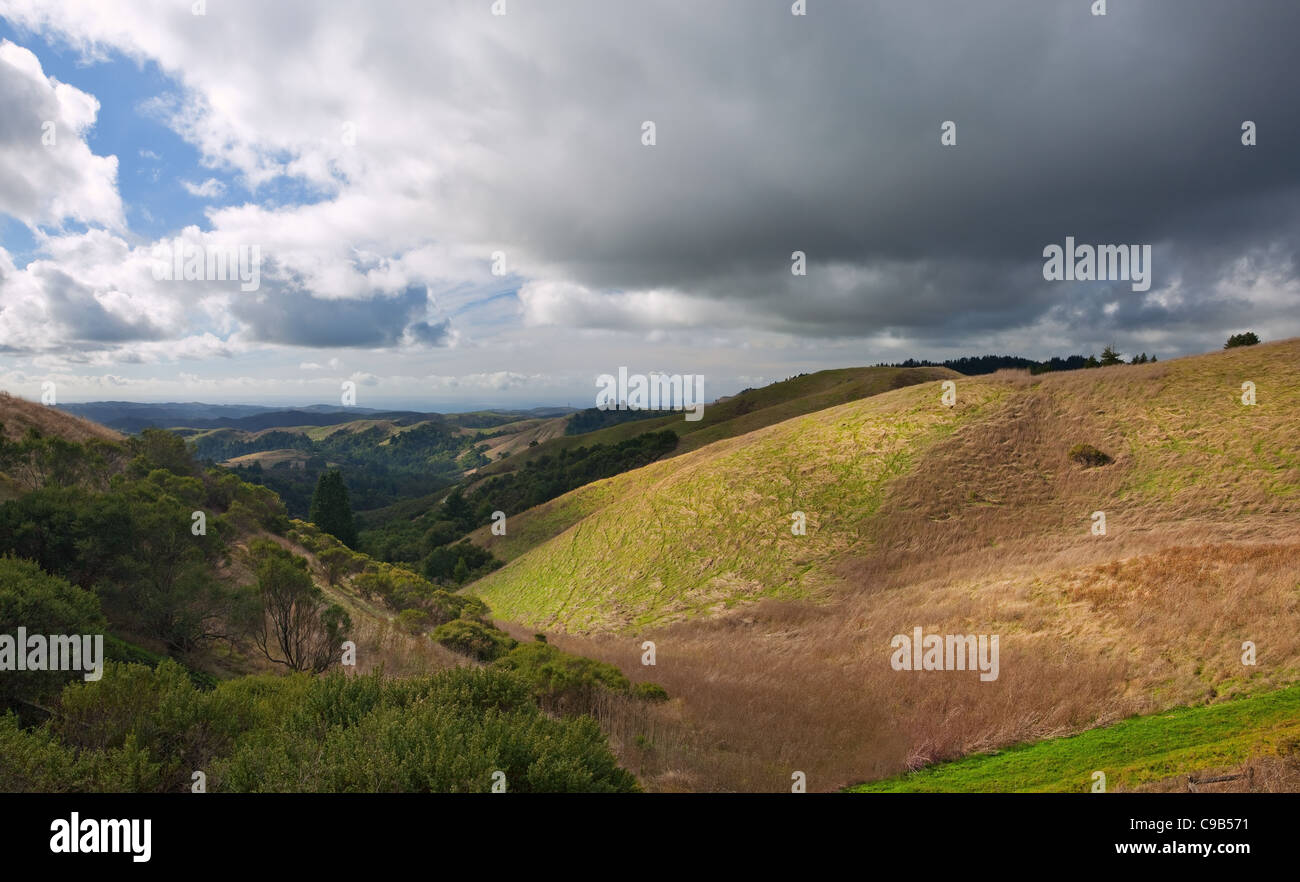 New Scenic 5 posti di rotolamento colline erbose della costiera della California centrale sotto cieli moody Foto Stock
