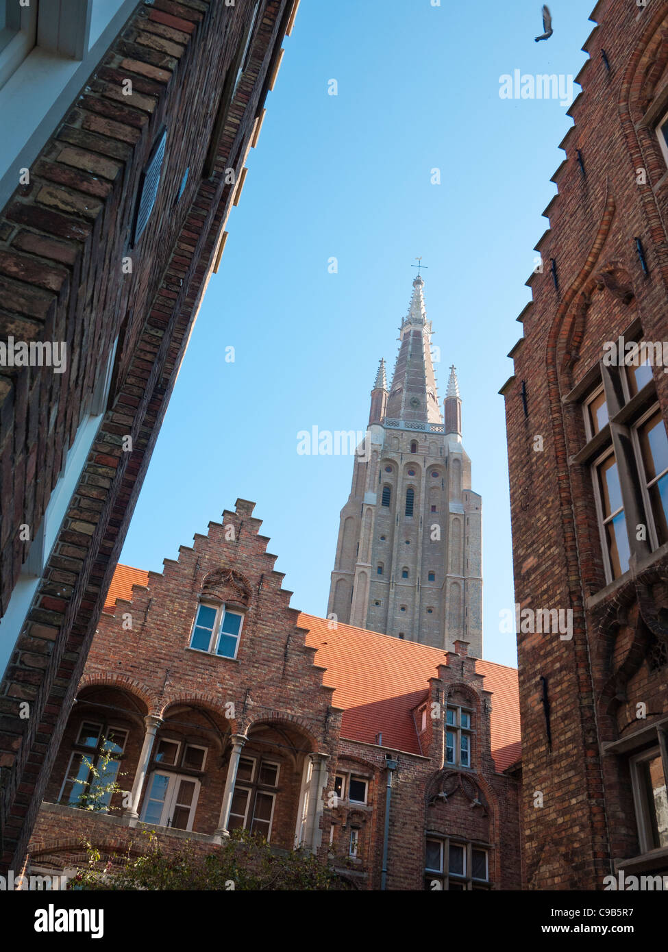 Vista del campanile della chiesa di Nostra Signora a Bruges, Belgio. Foto Stock