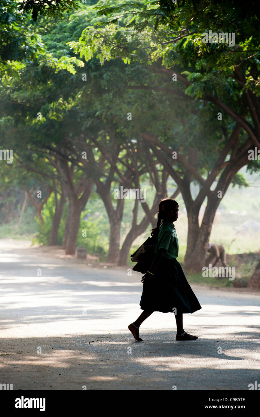 Indian School girl silhouette andare a scuola a piedi il trasporto di libri sotto una strada fiancheggiata da alberi. Andhra Pradesh, India Foto Stock
