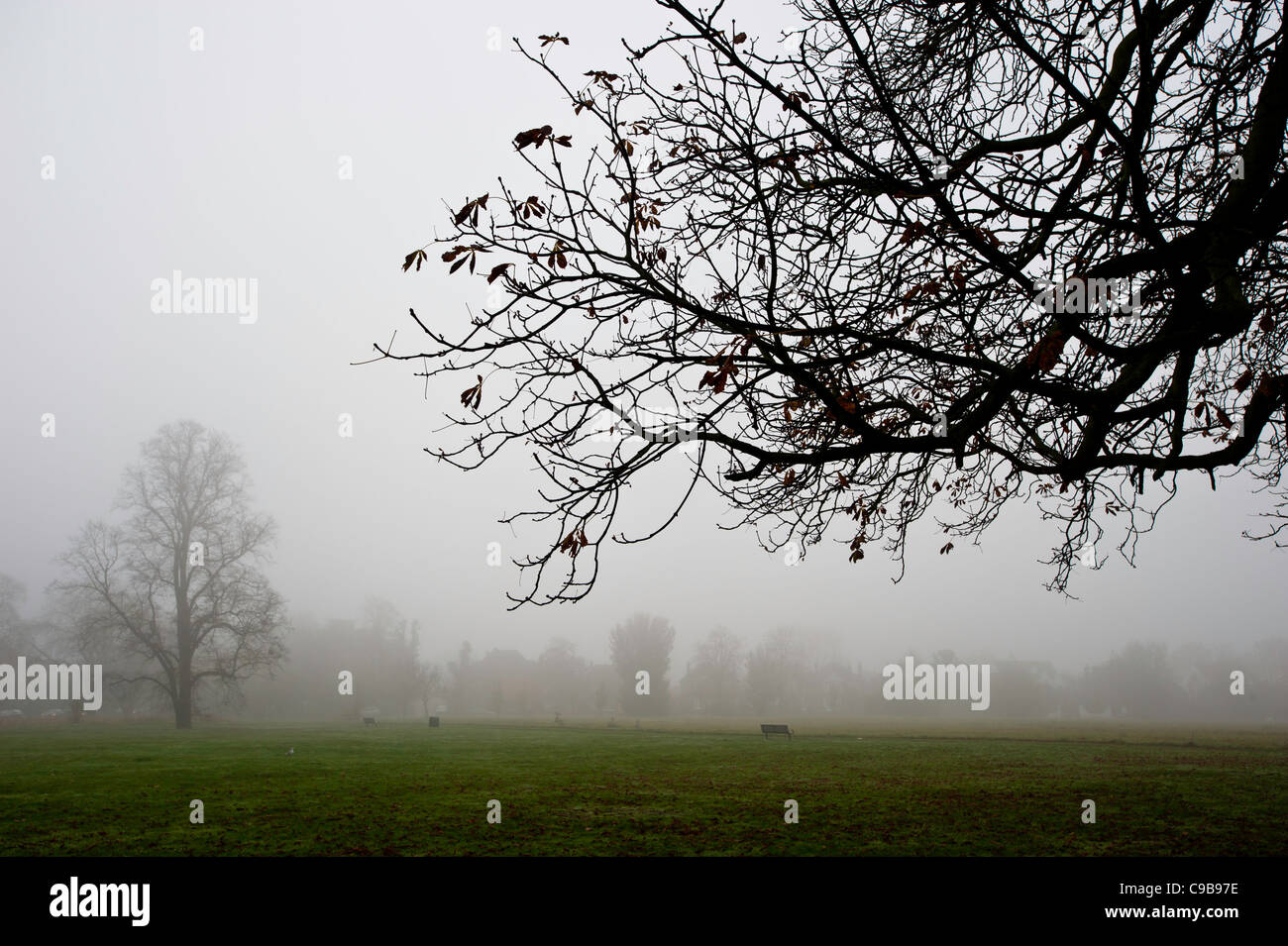 Ealing Common coperta di nebbia, London, Regno Unito Foto Stock