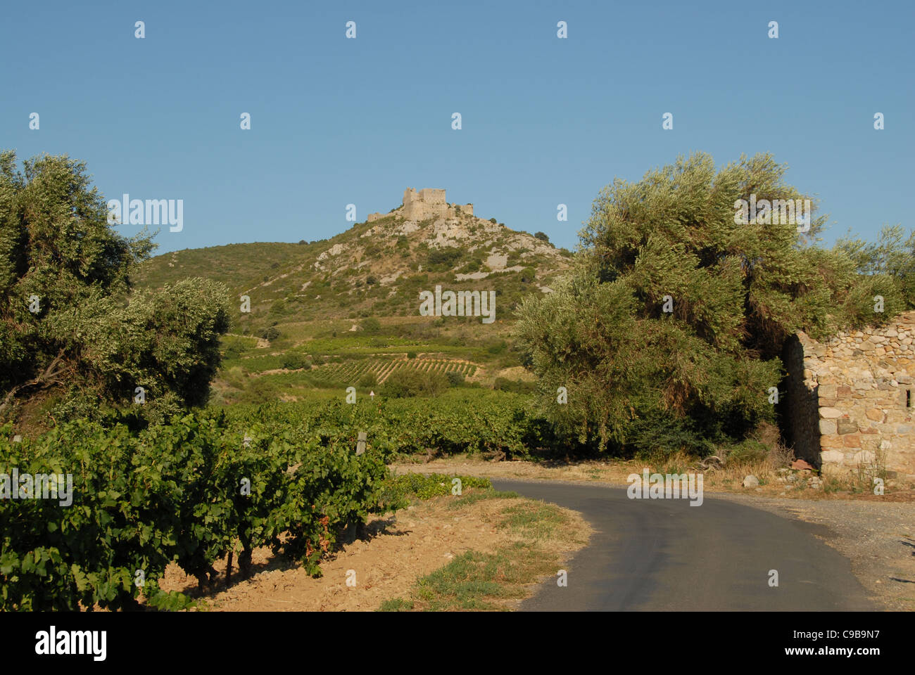 Château d'Aguilar, castello di eagle, roccaforte dei Catari setta, in Corbières montagne vicino Tuchan, Aude Linguadoca Foto Stock