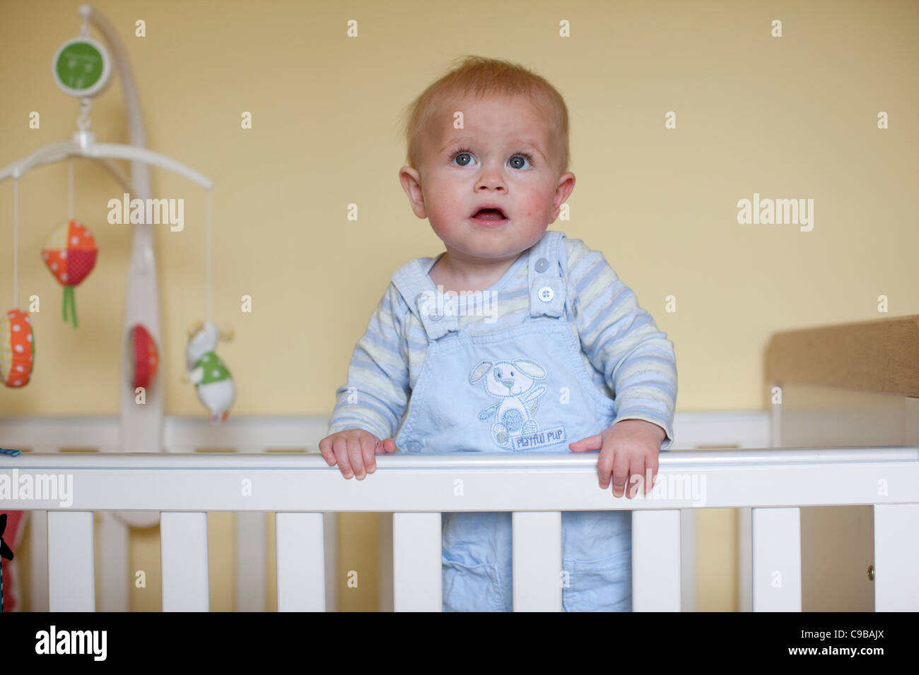 11 mese bambino nella culla. Foto:Jeff Gilbert Foto Stock