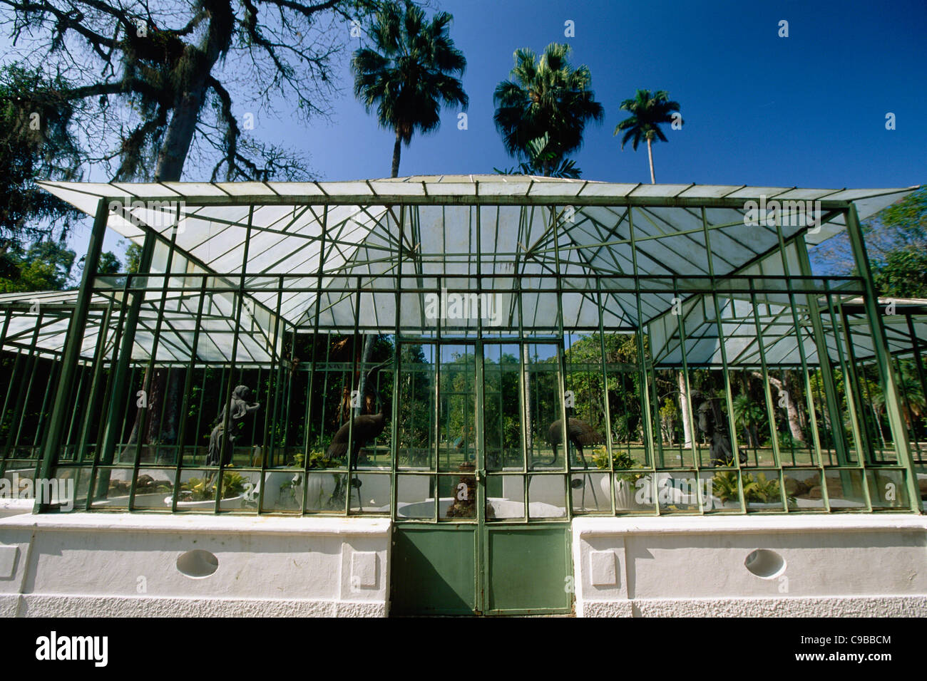 Glass Pavilion nel Jardim Giardino Botanico di Rio de Janeiro, Brasile Foto Stock