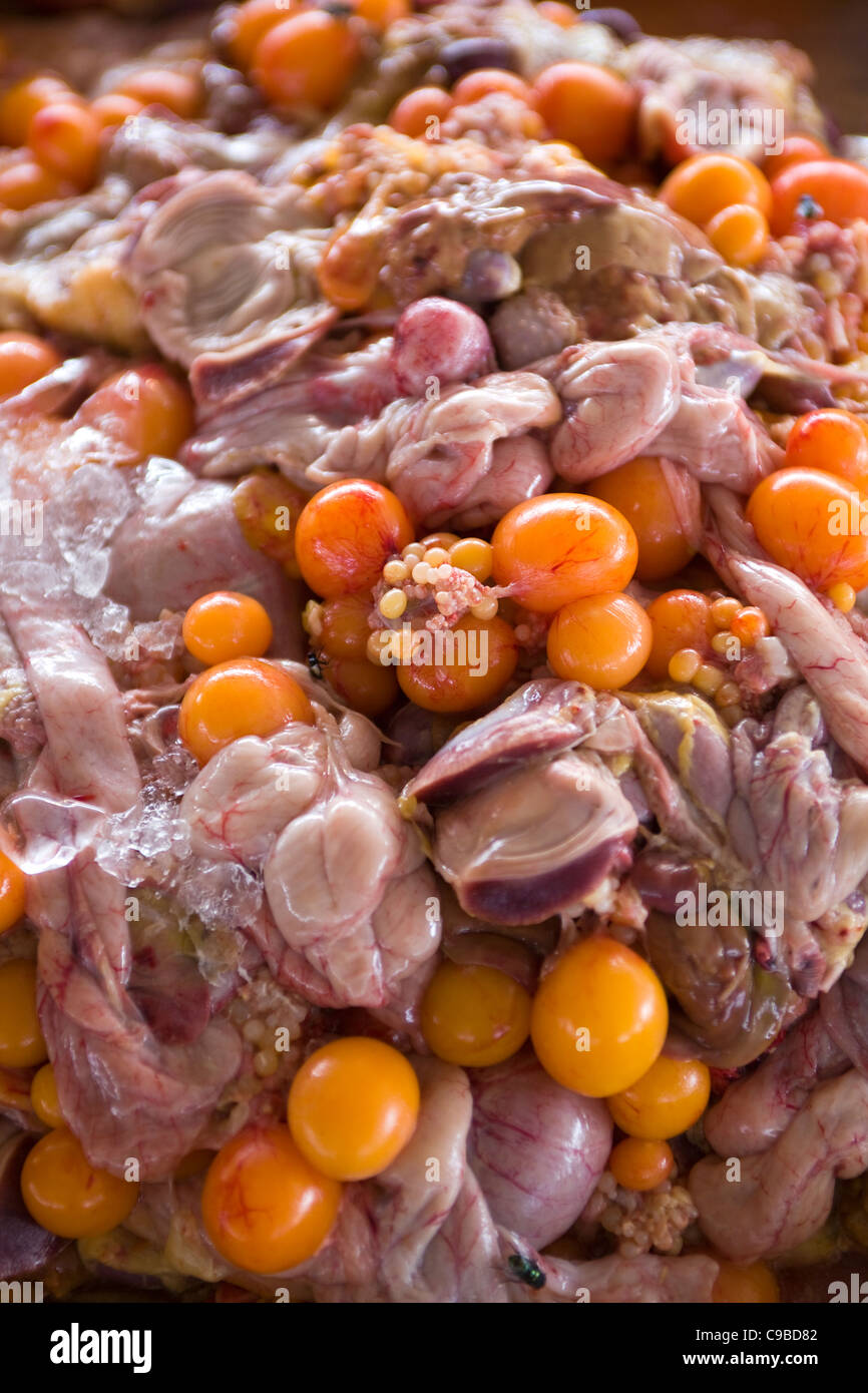 Interiora di pollo in vendita a Bangkok, Thailandia - un esempio dello strano o strano cibo mangiato da persone di tutto il mondo Foto Stock