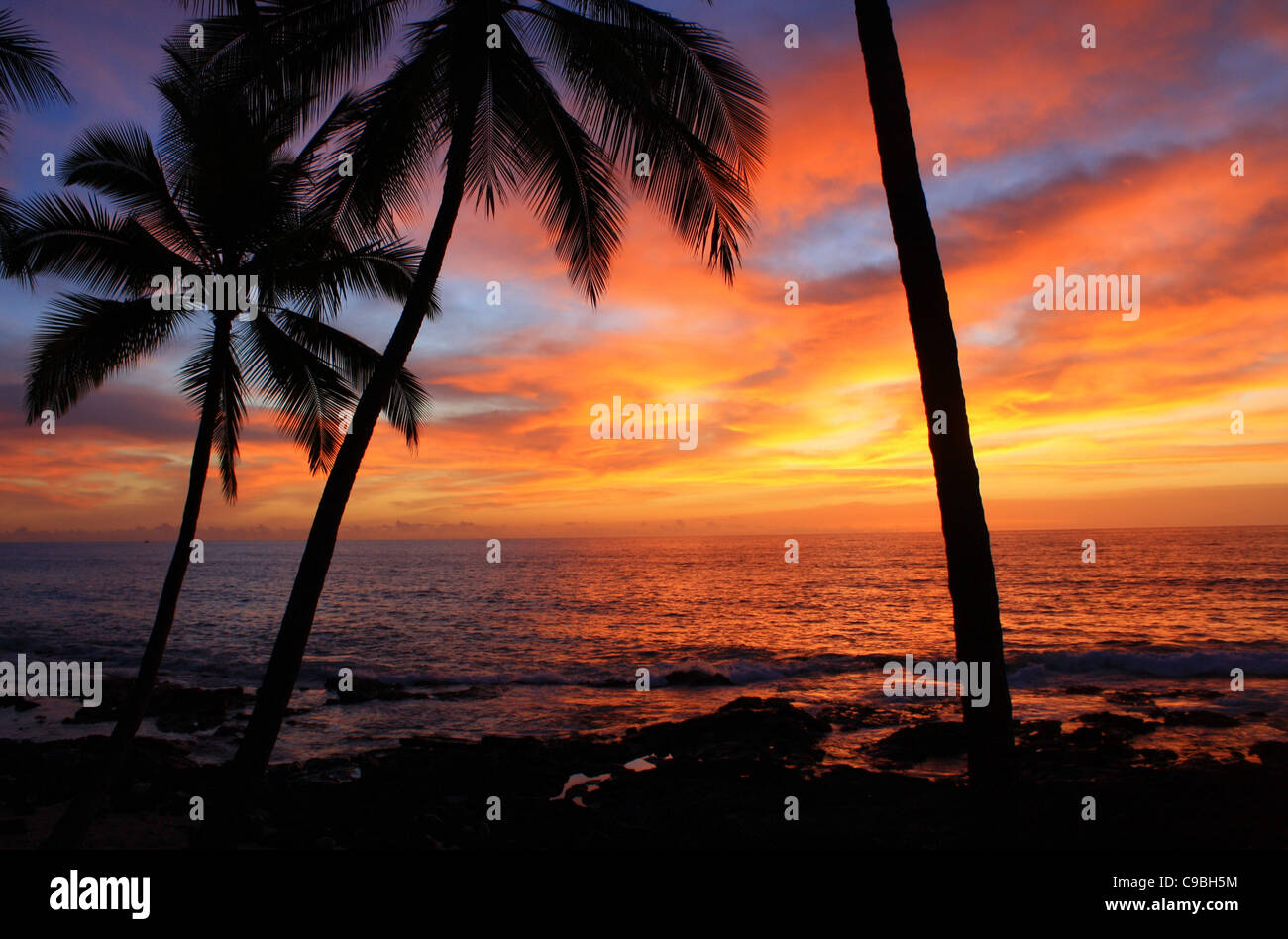 Kona cielo colorato Hawaii Sunset Palm Tree Tropical Foto Stock