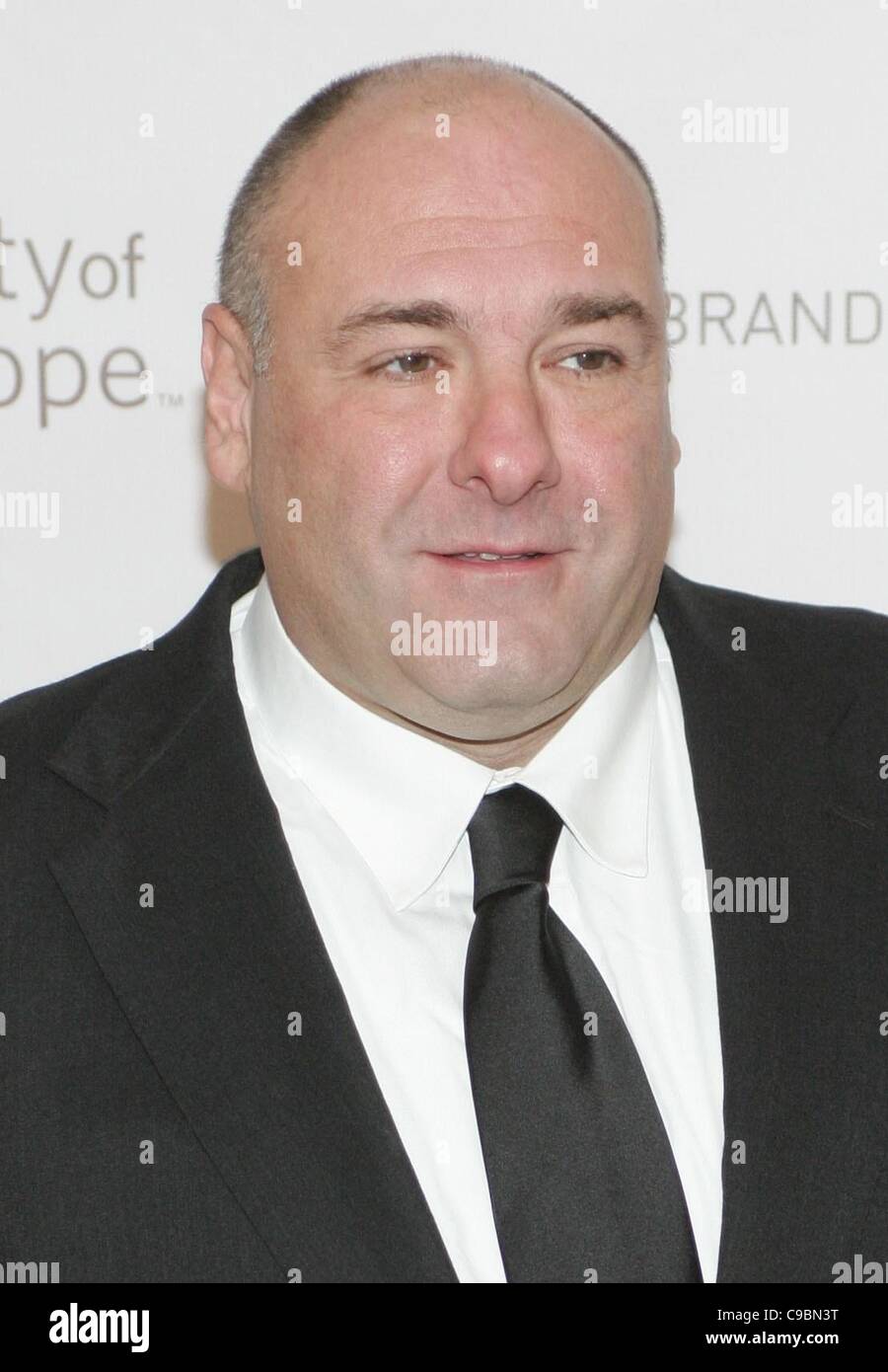 James Gandolfini presso gli arrivi per 2011 Award di speranza di Gala, SOHO House di West Hollywood, Los Angeles, CA Novembre 20, 2011. Foto di: James Atoa/Everett Collection Foto Stock