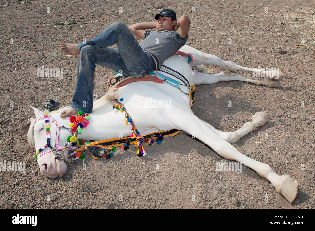 Uomo seduto su un cavallo da circo in Gujarat, India. Foto Stock