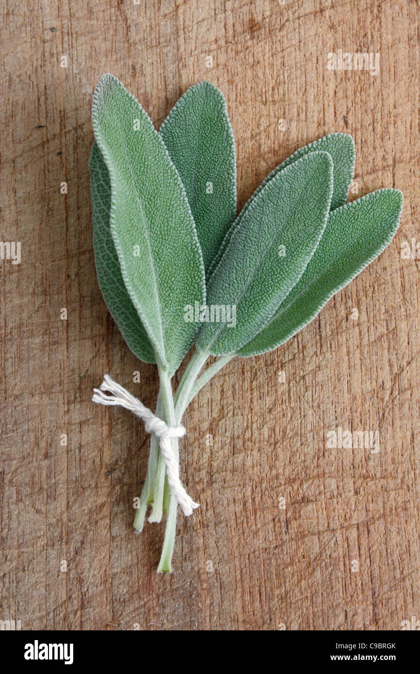 La salvia su uno sfondo di legno Foto Stock