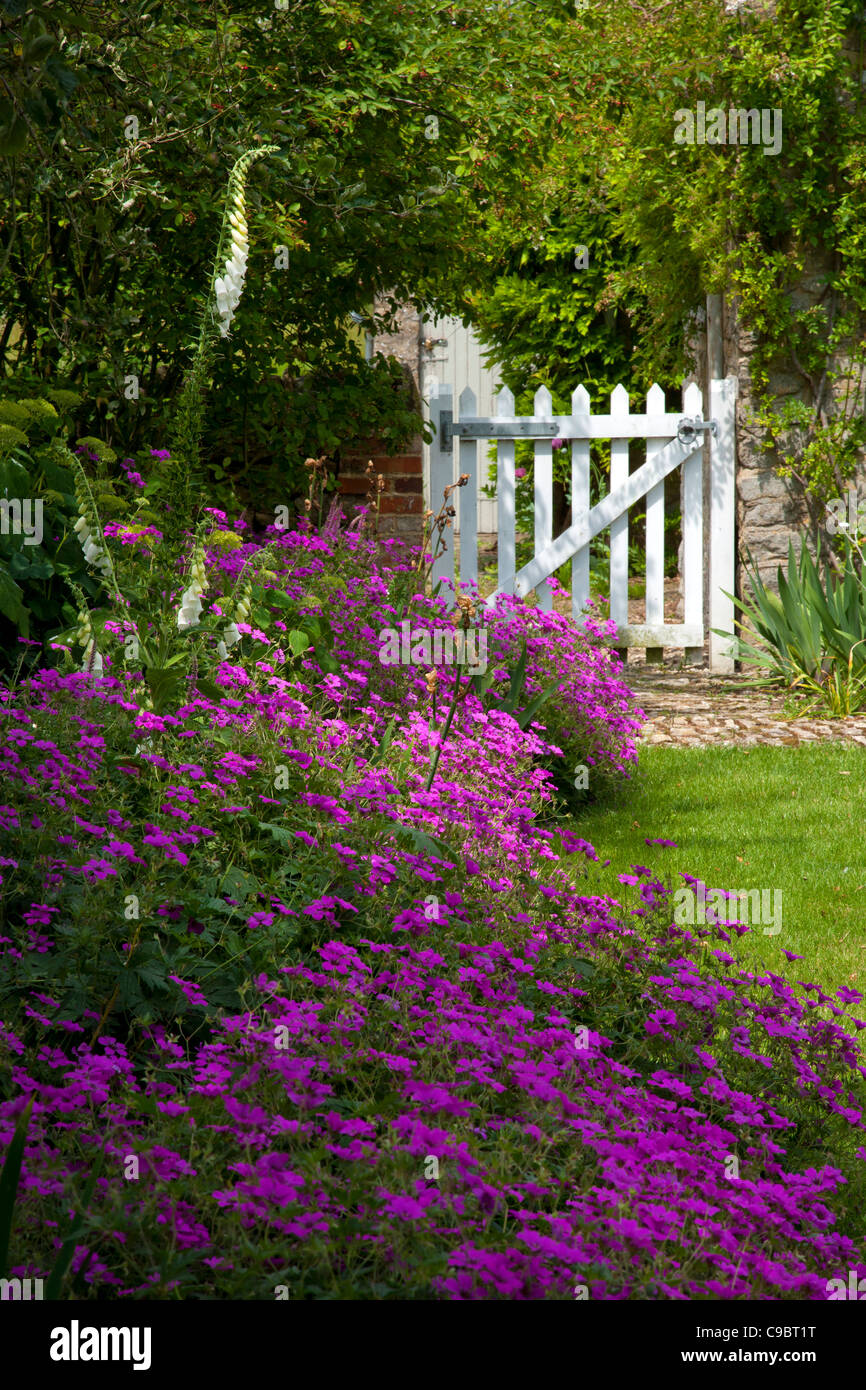Classico inglese estate Garden Cottage con white picket gate, gerani e foxgloves Foto Stock