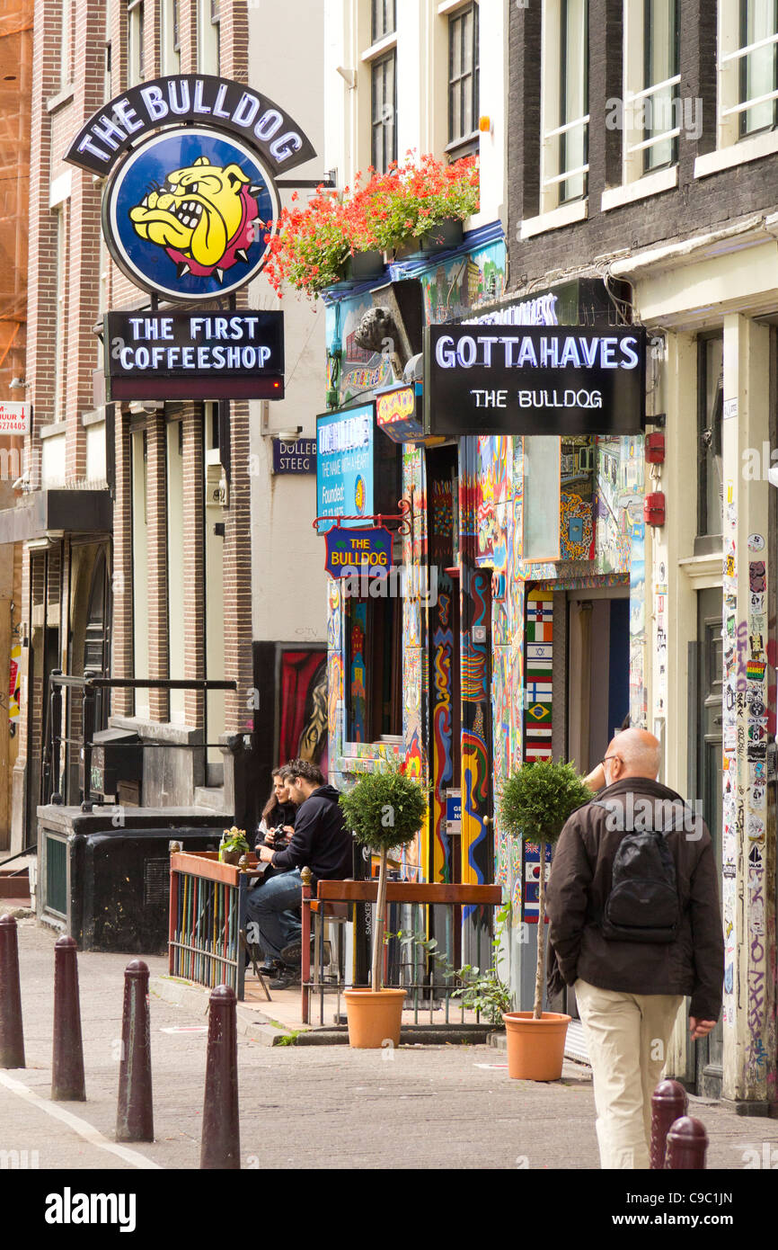La Bulldog coffee shop nel quartiere a luci rosse di Amsterdam, Paesi Bassi Foto Stock