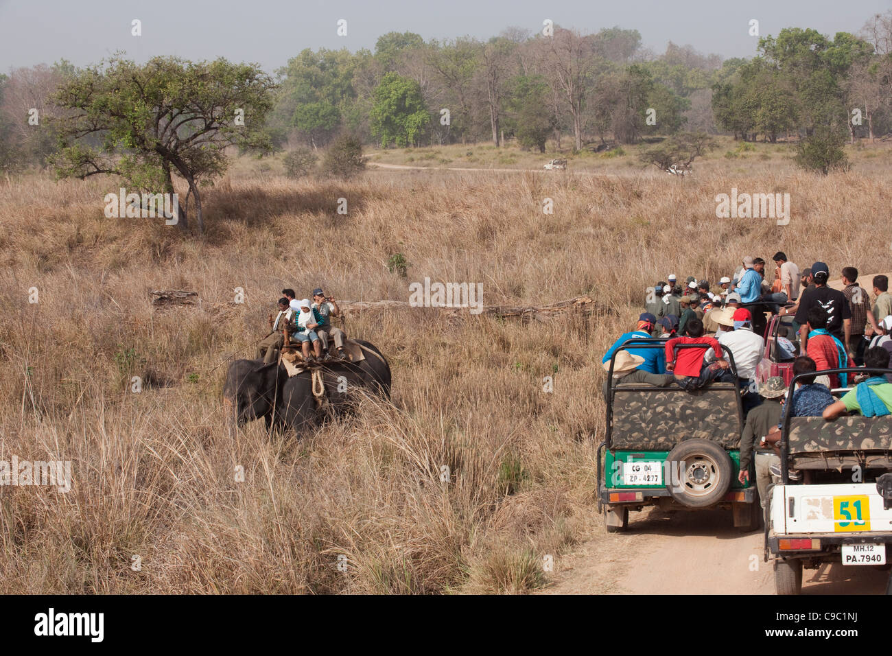 I turisti che vanno a visualizzare una tigre elefante indietro Parco Nazionale di Kanha India Foto Stock