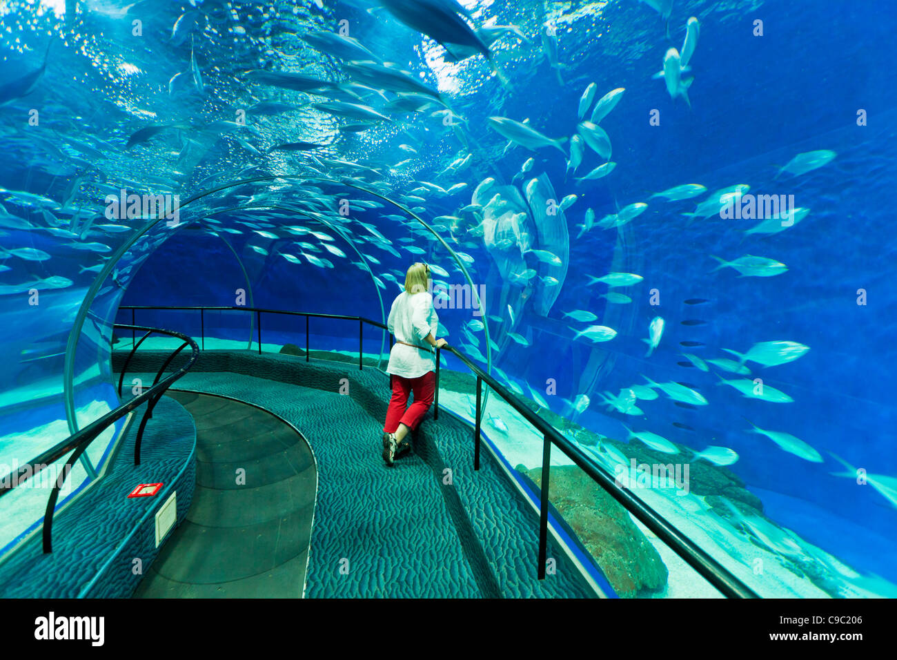 Turista femminile a Shanghai ocean Aquarium, Repubblica Popolare Cinese, PRC, Asia Foto Stock