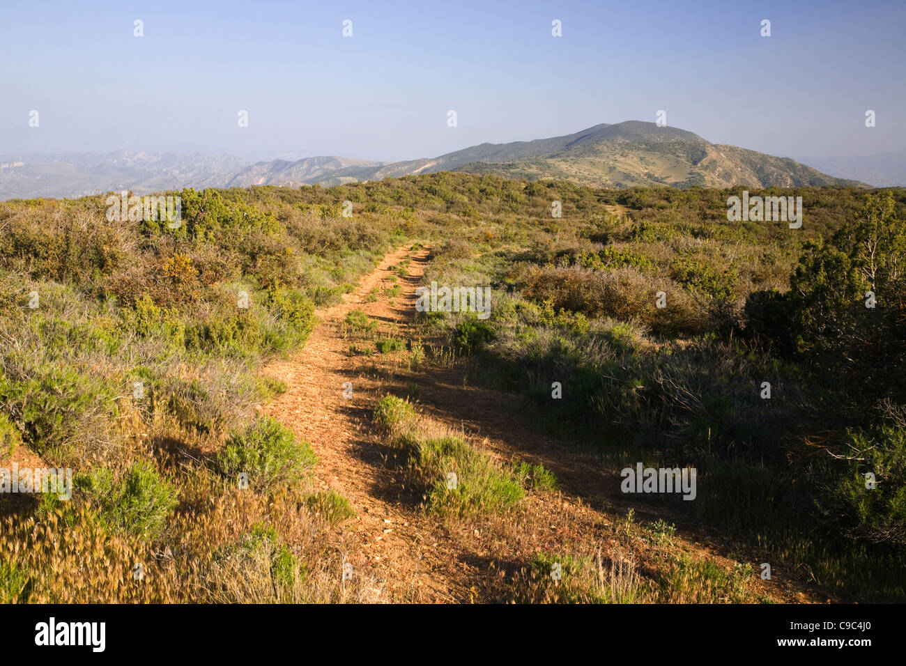 Caliente montagna cresta il sentiero che corre lungo la cresta delle montagne Caliente in Carrizo Plain monumento nazionale. Foto Stock