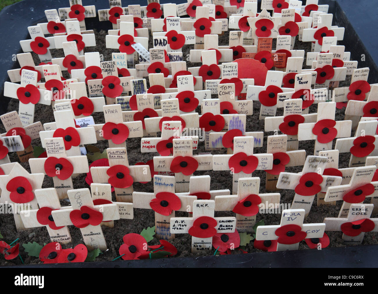Un memoriale di quelli uccisi in guerra, papaveri e piccole croci di legno di Eldon Square, Newcastle, North East England, Regno Unito Foto Stock