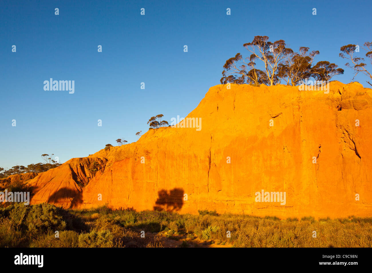 Il ricco nel tardo pomeriggio i colori di Redbanks Conservation Park vicino al rame antico città mineraria di Burra in Sud Australia nord Foto Stock