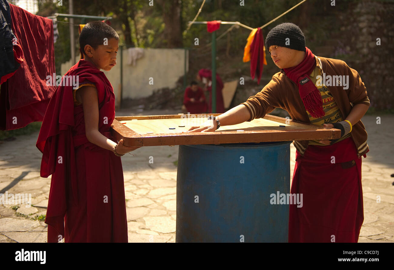 India, Asia del Sud, il Sikkim, buddista novizio monaci giocando carrom board game in monastero motivi. Foto Stock