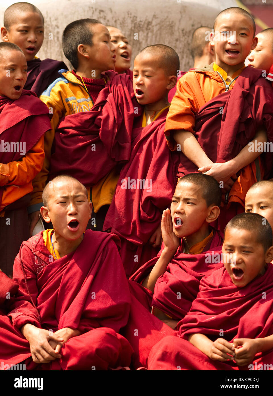 India, Asia del Sud, il Sikkim, monaci buddisti in un Losar salmodiare cerimonia in un monastero. Foto Stock