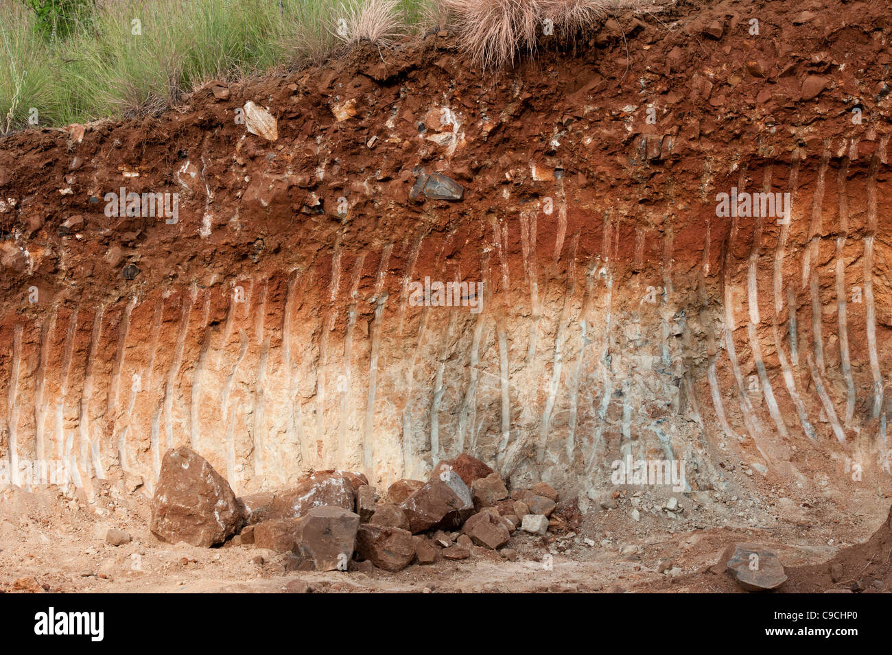 JCB benna contrassegni effettuati in una cava di roccia nella campagna indiana Foto Stock