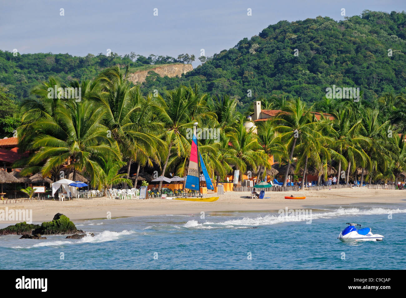 Messico, Guerrero, Zihuatanejo, vista di Playa la Ropa palma da cocco alberata in spiaggia. Foto Stock