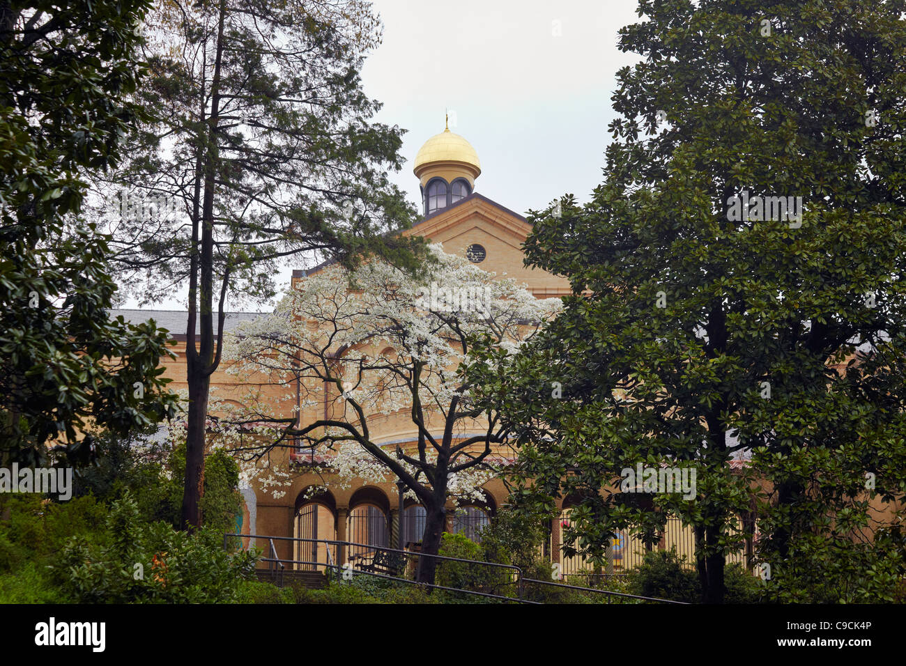 Cerca fino al monastero francescano dalla grotta giù per la collina, Washington DC. Foto Stock