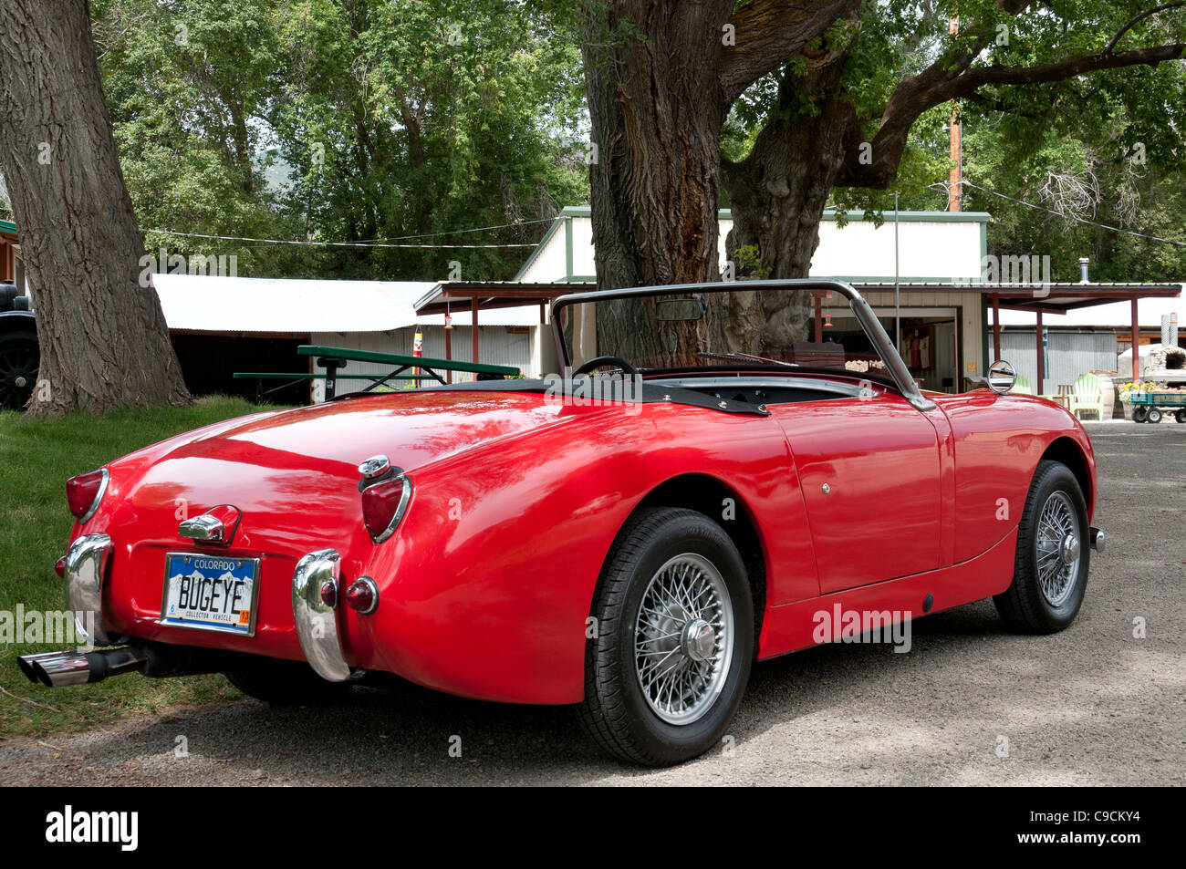 Austin Healey Sprite a valle Orchard Farm e Ponte nero cantina, Paonia, Colorado. Foto Stock
